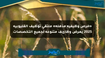 «فرص وظيفية مذهلة» ملتقى توظيف القليوبية 2025 يعرض وظائف متنوعة لجميع التخصصات